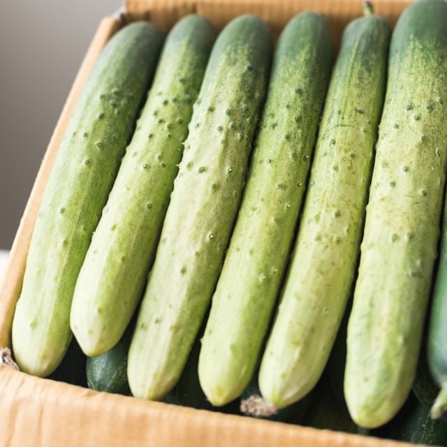 국내산 백다다기오이 특품 / 2kg (10~15개 내외)