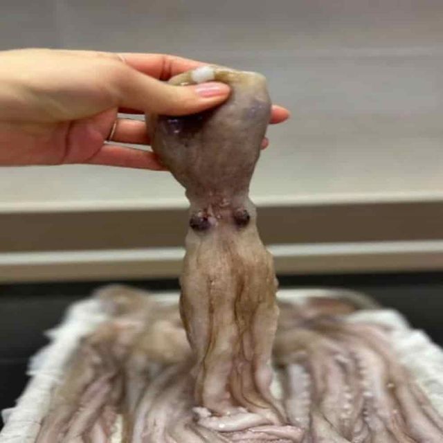 낙지 1kg 맛있는해산물 냉동수산 연포탕 수입냉동낙지