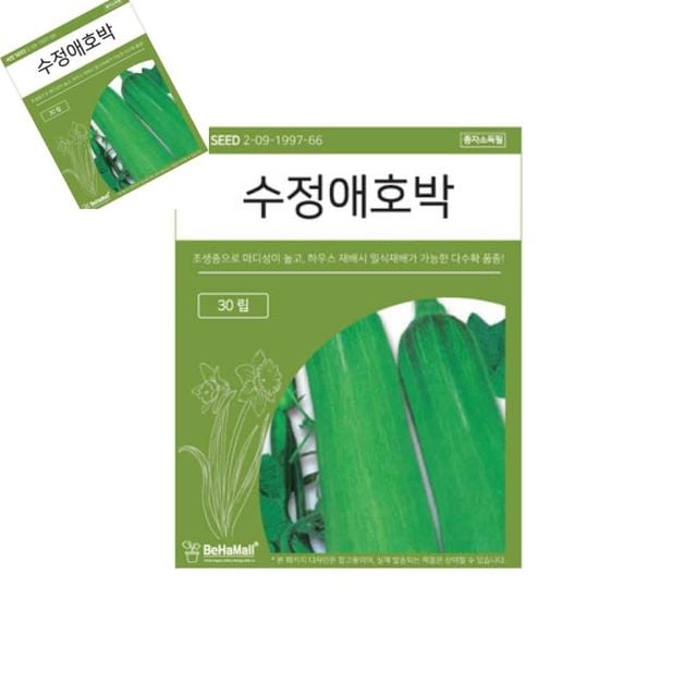 텃밭 채소 씨앗 수정 애호박 애호박씨앗 애호박종자 애호박키우기 야채씨앗