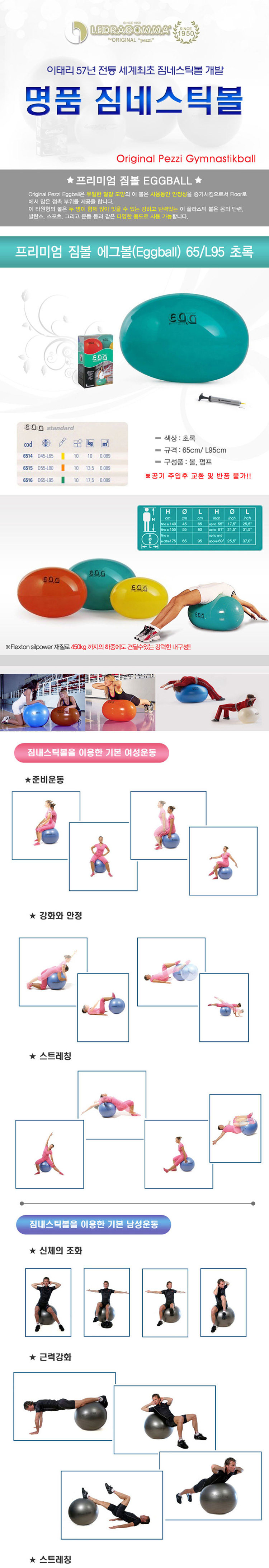짐볼,헬스,운동기구