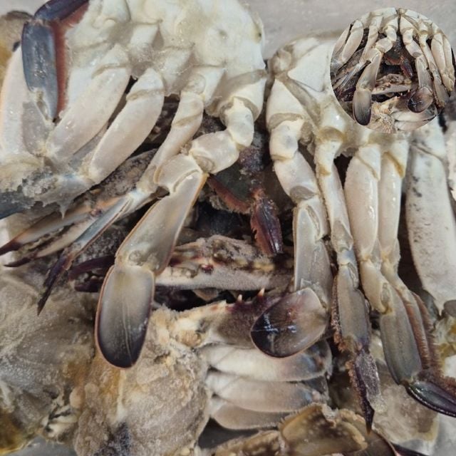 급랭꽃게 양념게장 냉동 절단 꽃게 750g