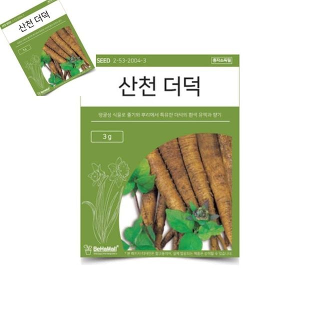 텃밭 채소 씨앗 산천 더덕 더덕씨앗 더덕종자 더덕키우기 채소종자