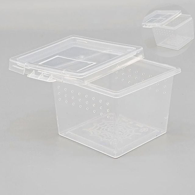 달팽이사육장 거북이사육장 파충류 사육장