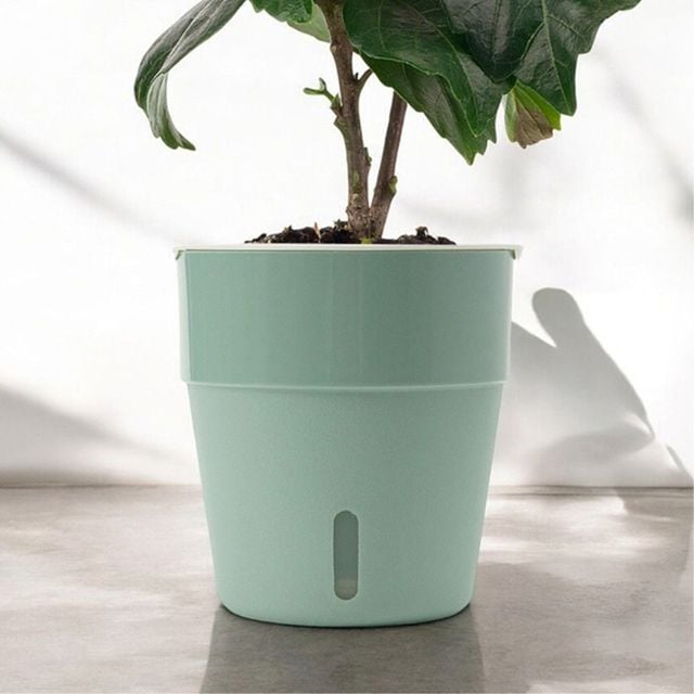 자동급수 화분 5p세트 13x14cm