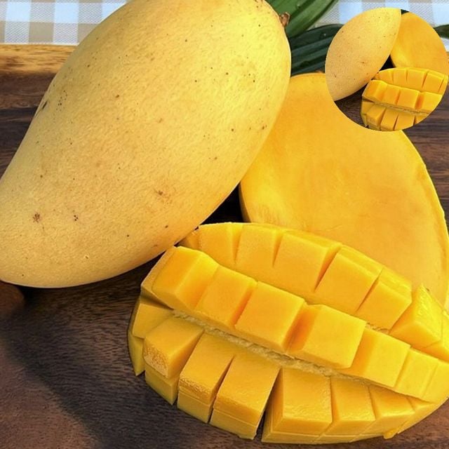 태국망고 식이섬유과일 골드망고 2kg