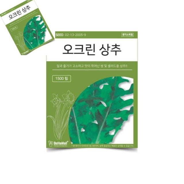 텃밭 채소 씨앗 오 상추 상추씨앗 상추종자 상추키우기 샐러드씨앗