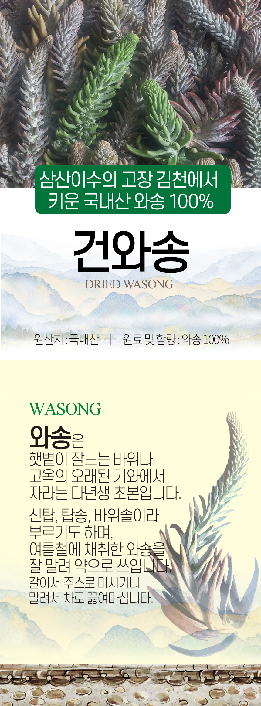 와송건재상세_01_shop1_155108.jpg