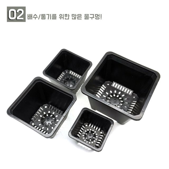 낮은 사각 PP플라스틱 모종 포트 화분 3호 14x11.5cm - 식물 재배용 화분 - 이미지 6