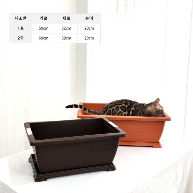 베란다 플라스틱 화분 채소밭 2호 60x39cm - 이미지 5