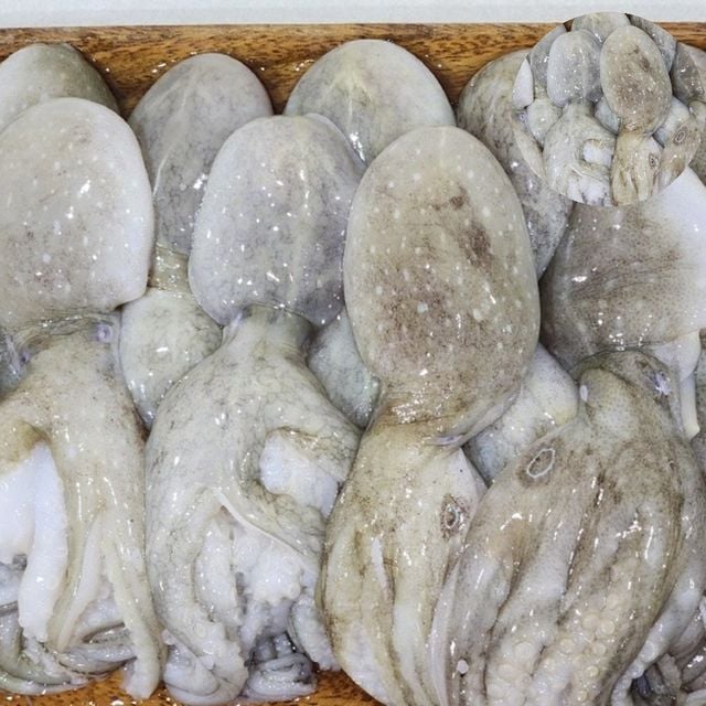 급냉쭈꾸미 냉동주꾸미 냉동 쭈꾸미 1kg